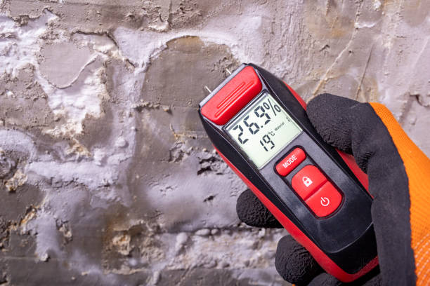 Mold Removal and Inspection in Prosperity, WV