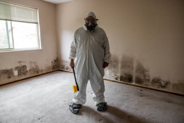 Best Crawl Space Mold Removal  in Prosperity, WV